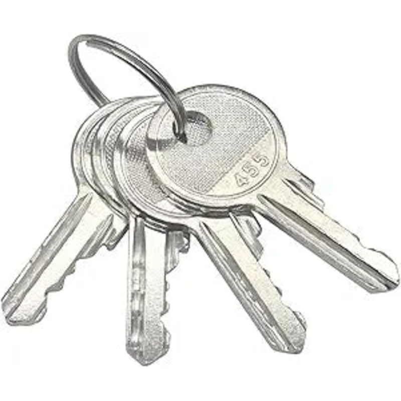 4Pcs Ignition Keys 21982GT for Genie Lift GR15 GS1530 GS1532 GS1930 GS1932 GS2032 GS2046 GS2632